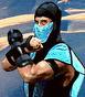   sub zero